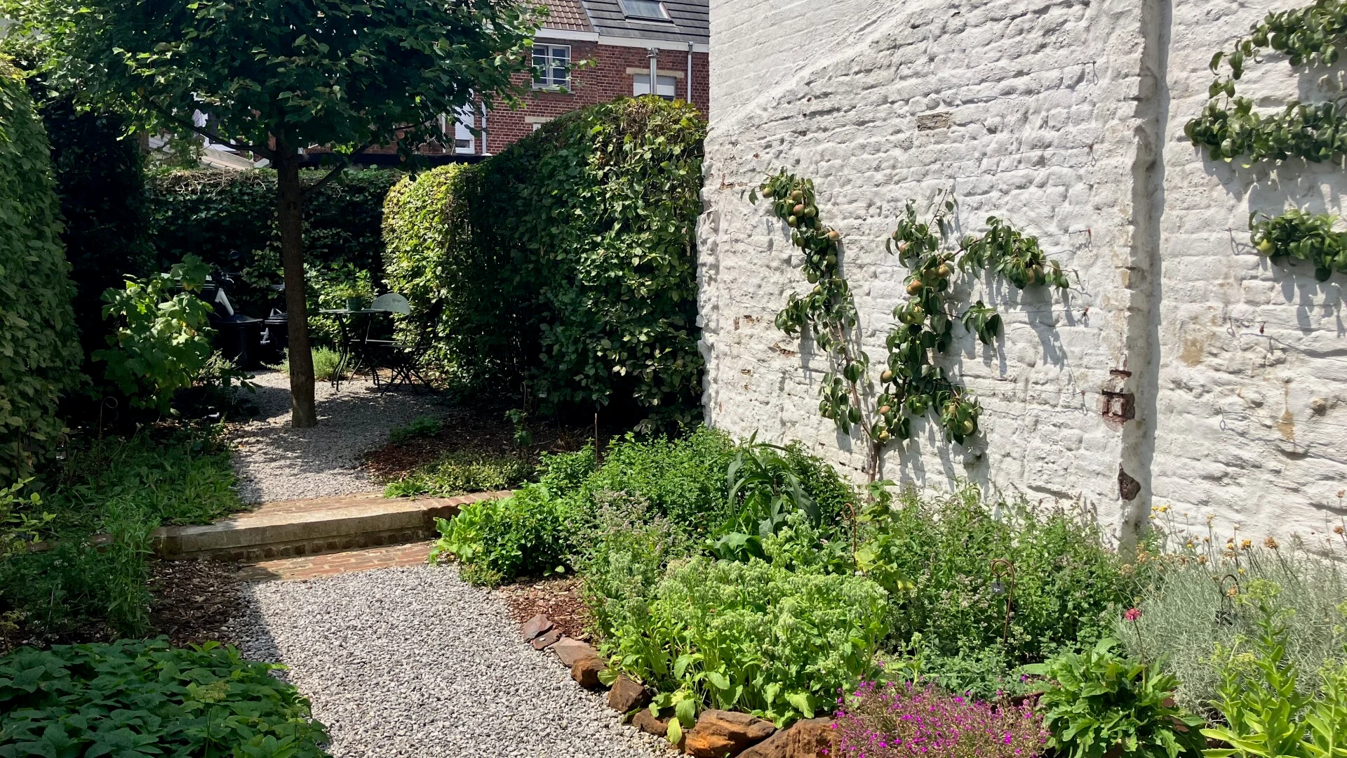 De tuin van de praktijk in Ronse